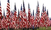 American Flags Image